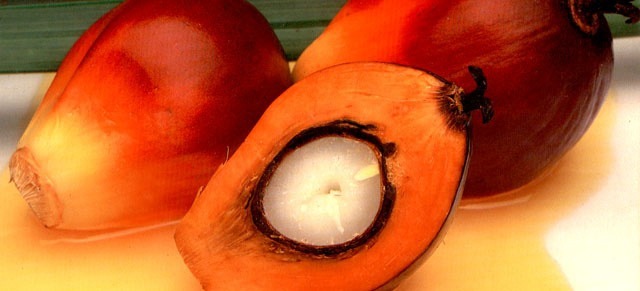 Featured image for “Malaysia Vegetable Cooking Oil Exporters”