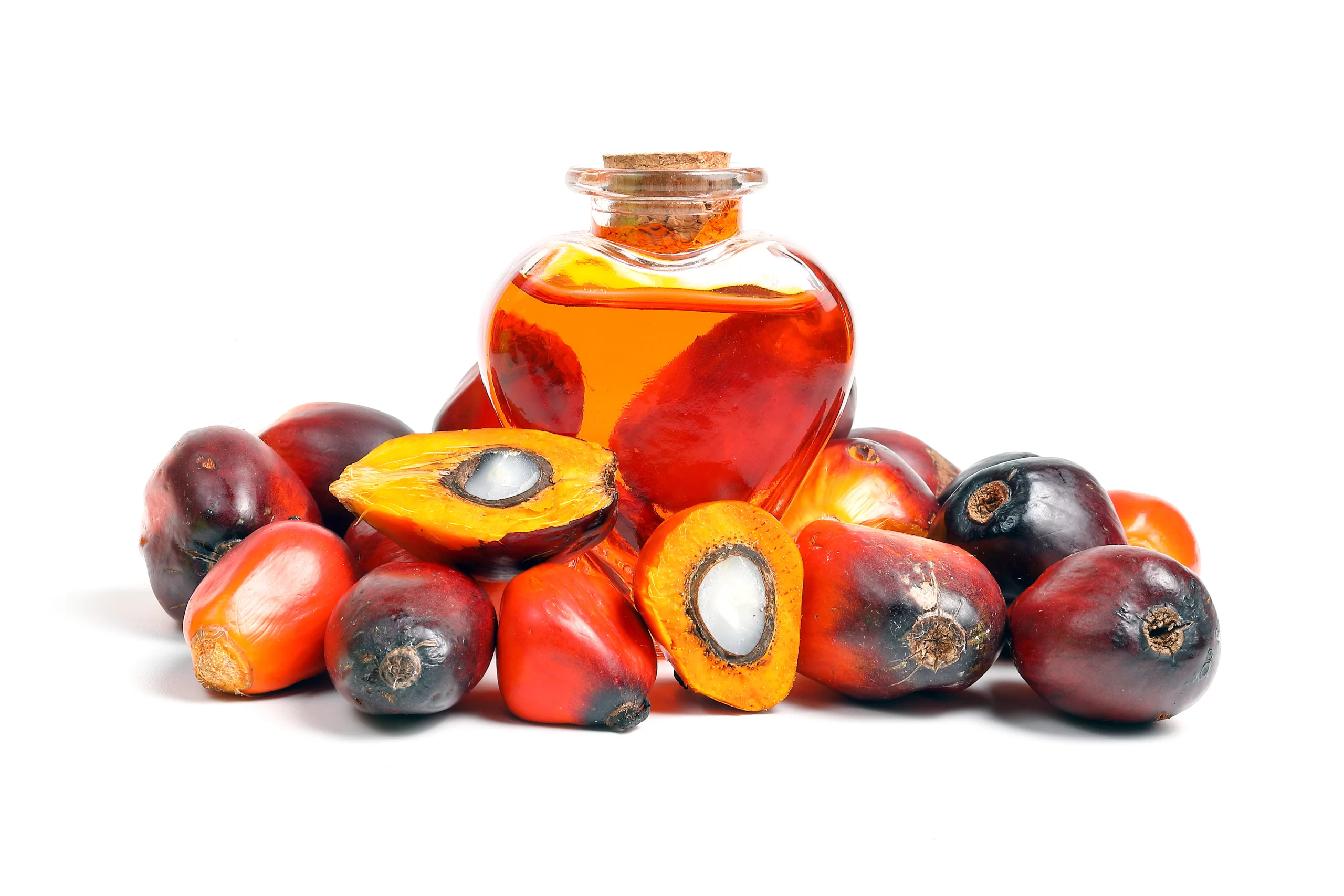 oil-palm-fruit-bulb-bottle